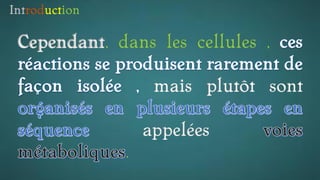 Introduction
Cependant, dans les cellules ,
sont
appelées
.
 