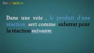 Introduction
Dans une voie , le produit d’une
réaction sert comme substrat pour
la réaction
 