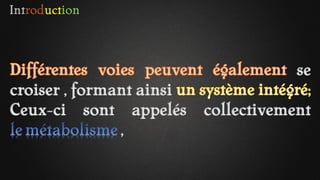 Introduction
se
croiser , formant ainsi
Ceux-ci sont appelés collectivement
,
 