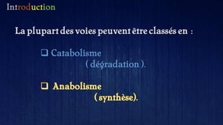 Introduction
La plupart des voies peuvent être classés en :
 Catabolisme
( dégradation ).
 