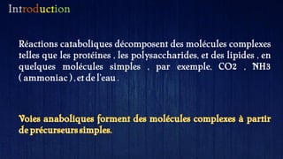 Introduction
Réactions cataboliques décomposent des molécules complexes
telles que les protéines , les polysaccharides, et des lipides , en
quelques molécules simples , par exemple, CO2 , NH3
( ammoniac ) , et del'eau .
 