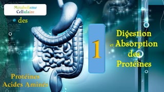 Protéines
Acides Aminés
Digestion
et Absorption
des
Protéines
1
 