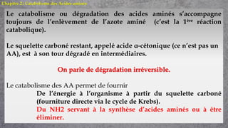 Chapitre 2 : Catabolisme des Acides aminés
Le catabolisme ou dégradation des acides aminés s’accompagne
toujours de l’enlèvement de l’azote aminé (c’est la 1ère réaction
catabolique).
Le squelette carboné restant, appelé acide α-cétonique (ce n’est pas un
AA), est à son tour dégradé en intermédiaires.
On parle de dégradation irréversible.
Le catabolisme des AA permet de fournir
De l’énergie à l’organisme à partir du squelette carboné
(fourniture directe via le cycle de Krebs).
Du NH2 servant à la synthèse d’acides aminés ou à être
éliminer.
 