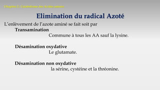 Chapitre 2 : Catabolisme des Acides aminés
Elimination du radical Azoté
L’enlèvement de l’azote aminé se fait soit par
Transamination
Commune à tous les AA sauf la lysine.
Désamination oxydative
Le glutamate.
Désamination non oxydative
la sérine, cystéine et la thréonine.
 