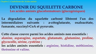 Chapitre 2 : Catabolisme des Acides aminés
DEVENIR DU SQUELETTE CARBONE
Les acides aminés glucoformateurs (glucogéniques)
La dégradation du squelette carboné libèrent l’un des
intermédiaires suivants : a-cétoglutarate, oxaloacétate,
fumarate, succinyl-CoA et pyruvate.
Cette classe couvre parmi les acides aminés non essentiels :
alanine, asparagine, aspartate, glutamate, ,glutamine, proline,
glycocolle, sérine, cystéine ;
les acides aminés essentiels : arginine, histidine, méthionine,
thréonine et valine.
 