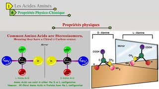 1
6 Propriétés Physico-Chimique
Propriétés physiques
 