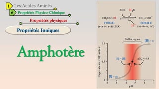 1
6 Propriétés Physico-Chimique
Propriétés physiques
Amphotère
 