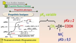 1
6 Propriétés Physico-Chimique
Propriétés physiques
 