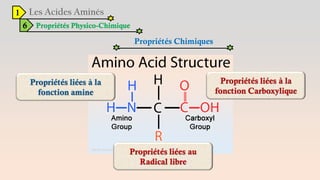 1
6 Propriétés Physico-Chimique
Propriétés Chimiques
 