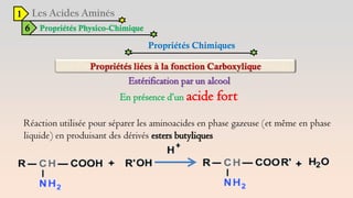 1
6 Propriétés Physico-Chimique
Propriétés Chimiques
Estérification par un alcool
En présence d’un acide fort
Réaction utilisée pour séparer les aminoacides en phase gazeuse (et même en phase
liquide) en produisant des dérivés esters butyliques
 