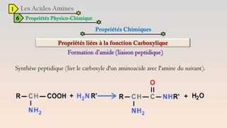 1
6 Propriétés Physico-Chimique
Propriétés Chimiques
Formation d’amide (liaison peptidique)
Synthèse peptidique (lier le carboxyle d'un aminoacide avec l'amine du suivant).
 