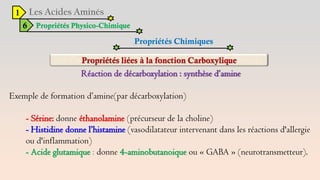 1
6 Propriétés Physico-Chimique
Propriétés Chimiques
Réaction de décarboxylation : synthèse d’amine
Exemple de formation d’amine(par décarboxylation)
- Sérine: donne éthanolamine (précurseur de la choline)
- Histidine donne l’histamine (vasodilatateur intervenant dans les réactions d'allergie
ou d'inflammation)
- Acide glutamique : donne 4-aminobutanoique ou « GABA » (neurotransmetteur).
 