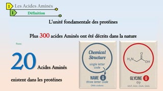 1
L’unité fondamentale des protéines
Plus 300 acides Aminés ont été décrits dans la nature
Parmi
20Acides Aminés
existent dans les protéines
1 Définition
 