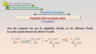 1
6 Propriétés Physico-Chimique
Propriétés Chimiques
N-Acylation
Avec des composés tels que les anhydrides d’acides ou des chlorures d’acide,
les acides aminés forment des dérivés N-acylés
 
