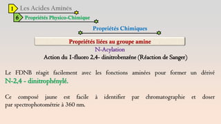 1
6 Propriétés Physico-Chimique
Propriétés Chimiques
N-Acylation
Action du 1-fluoro 2,4- dinitrobenzéne (Réaction de Sanger)
Le FDNB réagit facilement avec les fonctions aminées pour former un dérivé
N-2,4 - dinitrophénylé.
Ce composé jaune est facile à identifier par chromatographie et doser
par spectrophotométrie à 360 nm.
 
