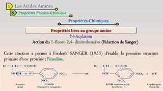 1
6 Propriétés Physico-Chimique
Propriétés Chimiques
N-Acylation
Action du 1-fluoro 2,4- dinitrobenzéne (Réaction de Sanger)
Cette réaction a permis à Frederik SANGER (1953) d'établir la première structure
primaire d'une protéine : l'insuline.
 