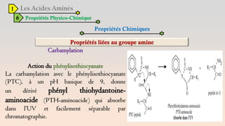 1
6 Propriétés Physico-Chimique
Propriétés Chimiques
Carbamylation
Action du phénylisothiocyanate
La carbamylation avec le phénylisothiocyanate
(PTC), à un pH basique de 9, donne
un dérivé phényl thiohydantoine-
aminoacide (PTH-aminoacide) qui absorbe
dans l’UV et facilement séparable par
chromatographie.
 