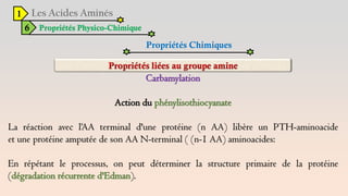 1
6 Propriétés Physico-Chimique
Propriétés Chimiques
Carbamylation
Action du phénylisothiocyanate
La réaction avec l‘AA terminal d'une protéine (n AA) libère un PTH-aminoacide
et une protéine amputée de son AA N-terminal ( (n-1 AA) aminoacides:
En répétant le processus, on peut déterminer la structure primaire de la protéine
(dégradation récurrente d'Edman).
 