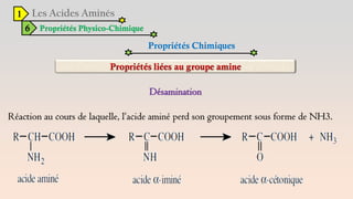 1
6 Propriétés Physico-Chimique
Propriétés Chimiques
Désamination
Réaction au cours de laquelle, l’acide aminé perd son groupement sous forme de NH3.
 