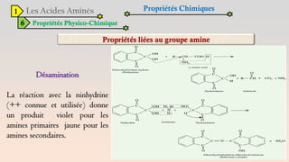 1
6 Propriétés Physico-Chimique
Propriétés Chimiques
Désamination
La réaction avec la ninhydrine
(++ connue et utilisée) donne
un produit violet pour les
amines primaires jaune pour les
amines secondaires.
 