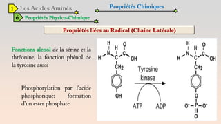 1
6 Propriétés Physico-Chimique
Propriétés Chimiques
Fonctions alcool de la sérine et la
thréonine, la fonction phénol de
la tyrosine aussi
Phosphorylation par l’acide
phosphorique: formation
d’un ester phosphate
 