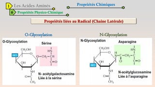 1
6 Propriétés Physico-Chimique
Propriétés Chimiques
O-Glycosylation N-Glycosylation
 