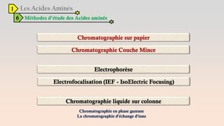 1
6 Méthodes d’étude des Acides aminés
Chromatographie en phase gazeuse
La chromatographie d'échange d'ions
 