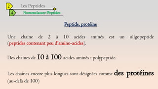 2
4 Nomenclature-Peptides
Peptide, protéine
Une chaine de 2 à 10 acides aminés est un oligopeptide
(peptides contenant peu d’amino-acides).
Des chaines de 10 à 100 acides aminés : polypeptide.
Les chaines encore plus longues sont désignées comme des protéines
(au-delà de 100)
 