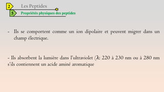 2
5 Propriétés physiques des peptides
- Ils se comportent comme un ion dipolaire et peuvent migrer dans un
champ électrique.
- Ils absorbent la lumière dans l’ultraviolet (λ: 220 à 230 nm ou à 280 nm
s’ils contiennent un acide aminé aromatique
 