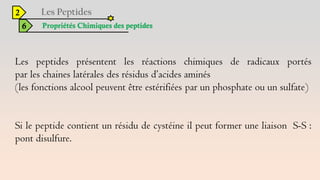 2
6 Propriétés Chimiques des peptides
Les peptides présentent les réactions chimiques de radicaux portés
par les chaines latérales des résidus d’acides aminés
(les fonctions alcool peuvent être estérifiées par un phosphate ou un sulfate)
Si le peptide contient un résidu de cystéine il peut former une liaison S-S :
pont disulfure.
 