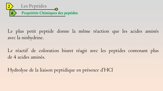 2
6 Propriétés Chimiques des peptides
Le plus petit peptide donne la même réaction que les acides aminés
avec la ninhydrine.
Le réactif de coloration biuret réagit avec les peptides contenant plus
de 4 acides aminés.
Hydrolyse de la liaison peptidique en présence d’HCl
 