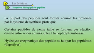 2
7 Propriétés Biologique des peptides
La plupart des peptides sont formés comme les protéines
par le système de synthèse protéique.
Certains peptides de petite taille se forment par réaction
directe entre acides aminés grâce à la peptidyltransférase
Hydrolyse enzymatique des peptides se fait par les peptidases
(digestives).
 