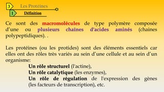 3
1 Définition
Ce sont des macromolécules de type polymère composée
d’une ou plusieurs chaînes d'acides aminés (chaines
polypeptidiques). .
Les protéines (ou les protides) sont des éléments essentiels car
elles ont des rôles très variés au sein d’une cellule et au sein d’un
organisme:
Un rôle structurel (l'actine),
Un rôle catalytique (les enzymes),
Un rôle de régulation de l'expression des gènes
(les facteurs de transcription), etc.
 