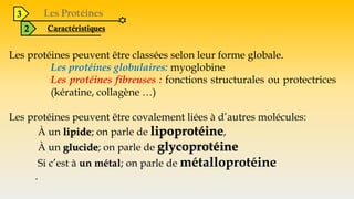 3
2 Caractéristiques
Les protéines peuvent être classées selon leur forme globale.
Les protéines globulaires: myoglobine
Les protéines fibreuses : fonctions structurales ou protectrices
(kératine, collagène …)
Les protéines peuvent être covalement liées à d’autres molécules:
À un lipide; on parle de lipoprotéine,
À un glucide; on parle de glycoprotéine
Si c’est à un métal; on parle de métalloprotéine
.
 