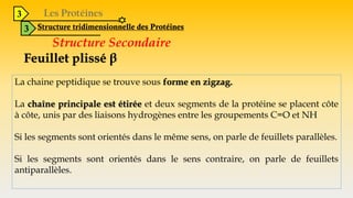 3
3 Structure tridimensionnelle des Protéines
Structure Secondaire
Feuillet plissé β
La chaine peptidique se trouve sous forme en zigzag.
La chaîne principale est étirée et deux segments de la protéine se placent côte
à côte, unis par des liaisons hydrogènes entre les groupements C=O et NH
Si les segments sont orientés dans le même sens, on parle de feuillets parallèles.
Si les segments sont orientés dans le sens contraire, on parle de feuillets
antiparallèles.
 