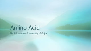 Amino Acid
By Atif Nauman (University of Gujrat)
 