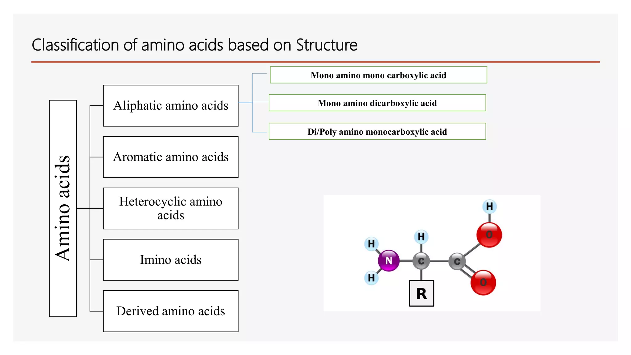 Amino acids and its classification | PPTX