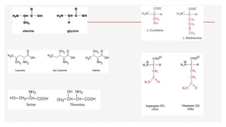 Amino acids and its classification | PPT