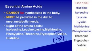 Essential Amino Acids
• CANNOT be synthesized in the body.
• MUST be provided in the diet to
meet metabolic needs.
• Eight of the amino acids:
Isoleucine,Leucine,Lysine,Methionine,
Phenylaline,Threonine,Tryptophan,Valine,
Histidine.
 