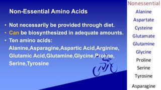 Non-Essential Amino Acids
• Not necessarily be provided through diet.
• Can be biosynthesized in adequate amounts.
• Ten amino acids:
Alanine,Asparagine,Aspartic Acid,Arginine,
Glutamic Acid,Glutamine,Glycine,Proline,
Serine,Tyrosine
 