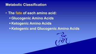 Metabolic Classification
• The fate of each amino acid:
 Glucogenic Amino Acids
 Ketogenic Amino Acids
 Ketogenic and Glucogenic Amino Acids
 