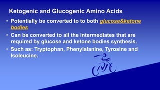 Ketogenic and Glucogenic Amino Acids
• Potentially be converted to to both glucose&ketone
bodies
• Can be converted to all the intermediates that are
required by glucose and ketone bodies synthesis.
• Such as: Tryptophan, Phenylalanine, Tyrosine and
Isoleucine.
 