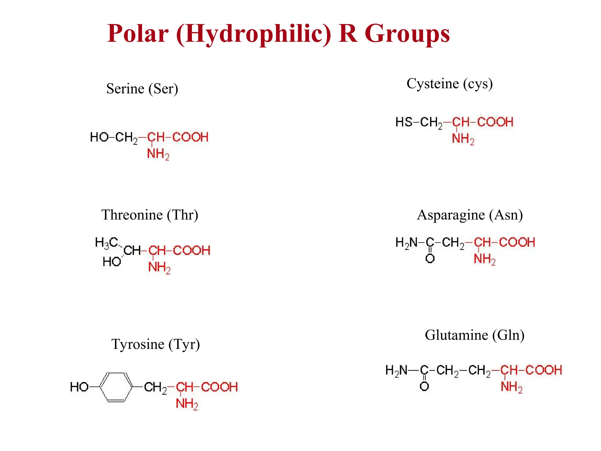Aminoacids -properties and classification | PPT