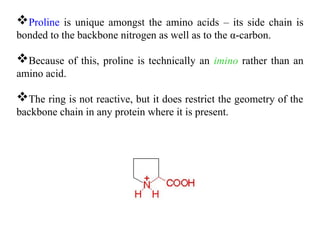 Proline is unique amongst the amino acids – its side chain is
bonded to the backbone nitrogen as well as to the α-carbon.
Because of this, proline is technically an imino rather than an
amino acid.
The ring is not reactive, but it does restrict the geometry of the
backbone chain in any protein where it is present.
 