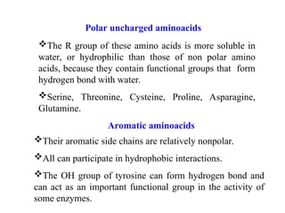 The R group of these amino acids is more soluble in
water, or hydrophilic than those of non polar amino
acids, because they contain functional groups that form
hydrogen bond with water.
Serine, Threonine, Cysteine, Proline, Asparagine,
Glutamine.
Polar uncharged aminoacids
Their aromatic side chains are relatively nonpolar.
All can participate in hydrophobic interactions.
The OH group of tyrosine can form hydrogen bond and
can act as an important functional group in the activity of
some enzymes.
Aromatic aminoacids
 