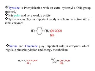 Tyrosine is Phenylalanine with an extra hydroxyl (-OH) group
attached.
It is polar and very weakly acidic.
Tyrosine can play an important catalytic role in the active site of
some enzymes.
Serine and Threonine play important role in enzymes which
regulate phosphorylation and energy metabolism.
 