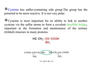 Cysteine has sulfur-containing side group.The group has the
potential to be more reactive. It is not very polar.
Cysteine is most important for its ability to link to another
cysteine via the sulfur atoms to form a covalent disulfide bridge,
important in the formation and maintenance of the tertiary
(folded) structure in many proteins.
SH
HS CH2
CH2
CH CH COOH
COOH
NH2
NH2
- - - - - -
S
S
 