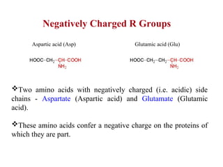 Aspartic acid (Asp) Glutamic acid (Glu)
Negatively Charged R Groups
Two amino acids with negatively charged (i.e. acidic) side
chains - Aspartate (Aspartic acid) and Glutamate (Glutamic
acid).
These amino acids confer a negative charge on the proteins of
which they are part.
 