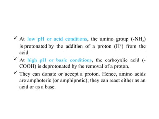  At low pH or acid conditions, the amino group (-NH2)
is protonated by the addition of a proton (H+
) from the
acid.
 At high pH or basic conditions, the carboyxlic acid (-
COOH) is deprotonated by the removal of a proton.
 They can donate or accept a proton. Hence, amino acids
are amphoteric (or amphiprotic); they can react either as an
acid or as a base.
 