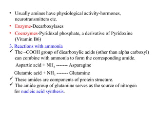 • Usually amines have physiological activity-hormones,
neurotransmitters etc.
• Enzyme-Decarboxylases
• Coenzymes-Pyridoxal phosphate, a derivative of Pyridoxine
(Vitamin B6)
3. Reactions with ammonia
 The –COOH group of dicarboxylic acids (other than alpha carboxyl)
can combine with ammonia to form the corresponding amide.
Aspartic acid + NH3 ------- Asparagine
Glutamic acid + NH3 ------- Glutamine
 These amides are components of protein structure.
 The amide group of glutamine serves as the source of nitrogen
for nucleic acid synthesis.
 